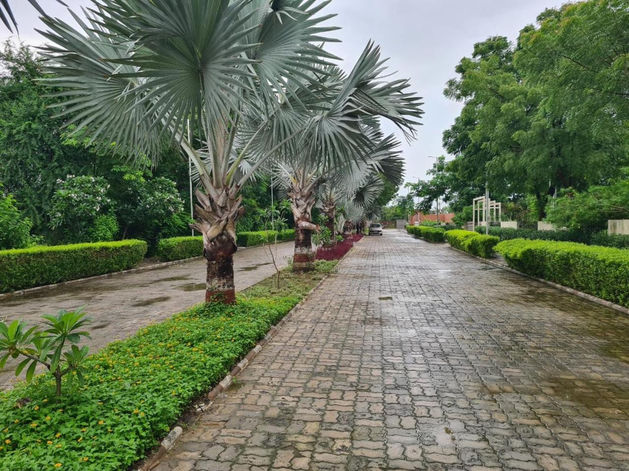 Club Azzurro Resort - Nalsarovar Nanodra Экстерьер фото